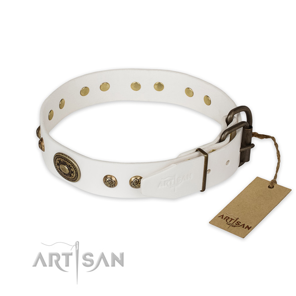 Durable hardware on natural genuine leather collar for fancy walking your four-legged friend