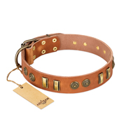 "Natural Beauty" FDT Artisan Tan Leather Dogue de Bordeaux Collar with Old Bronze-like Circles and Plates