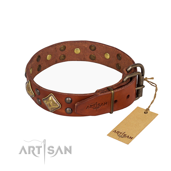 Natural leather dog collar with exceptional corrosion proof adornments