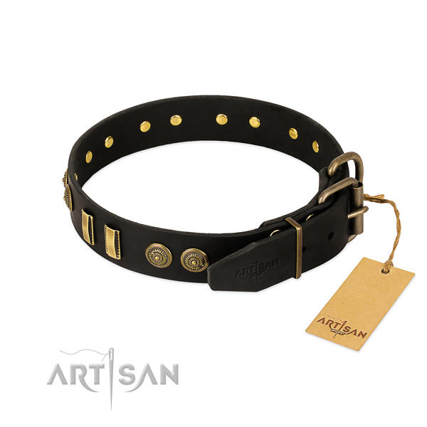 Corrosion resistant embellishments on full grain natural leather dog collar for your canine