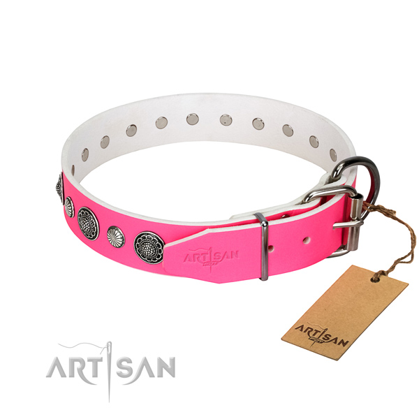 Durable leather dog collar with rust resistant buckle