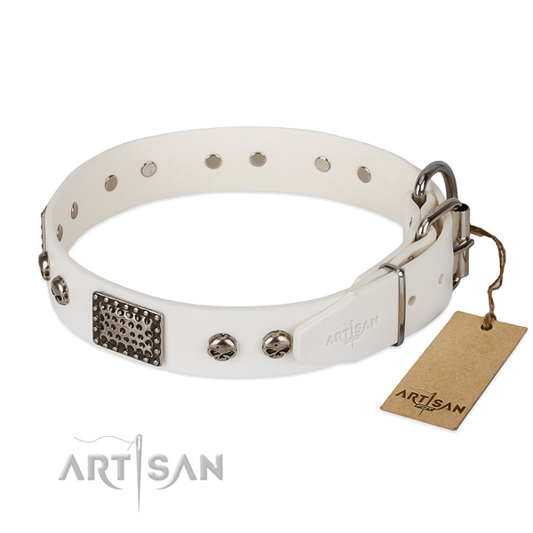 Durable adornments on comfortable wearing dog collar