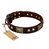 "Magic Amulet" Brown Leather Dogue de Bordeaux Collar with Skulls and Plates
