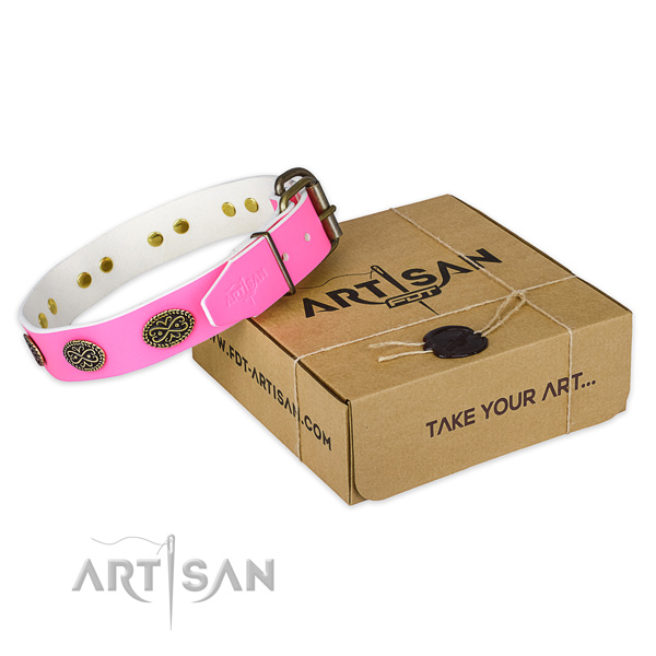 Corrosion proof hardware on dog collar for daily walking