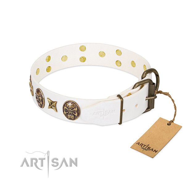 Corrosion resistant traditional buckle on natural genuine leather collar for basic training your canine