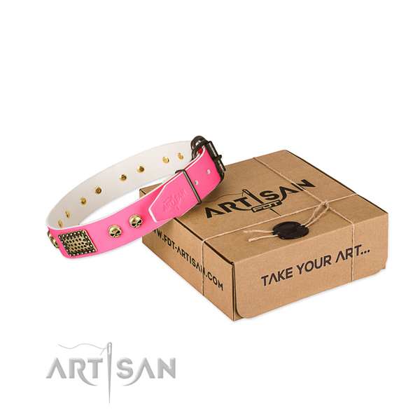 Strong studs on dog collar for daily walking