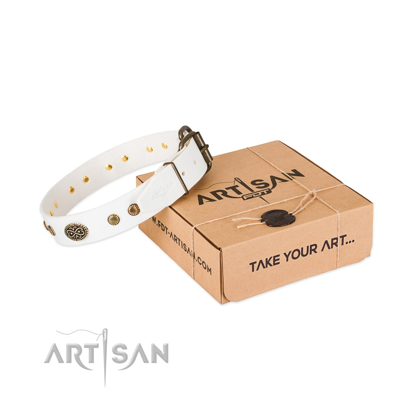 Reliable studs on full grain leather dog collar for your four-legged friend