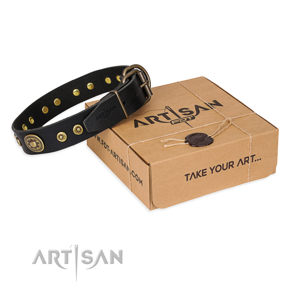 Genuine leather dog collar made of best quality material with rust-proof fittings