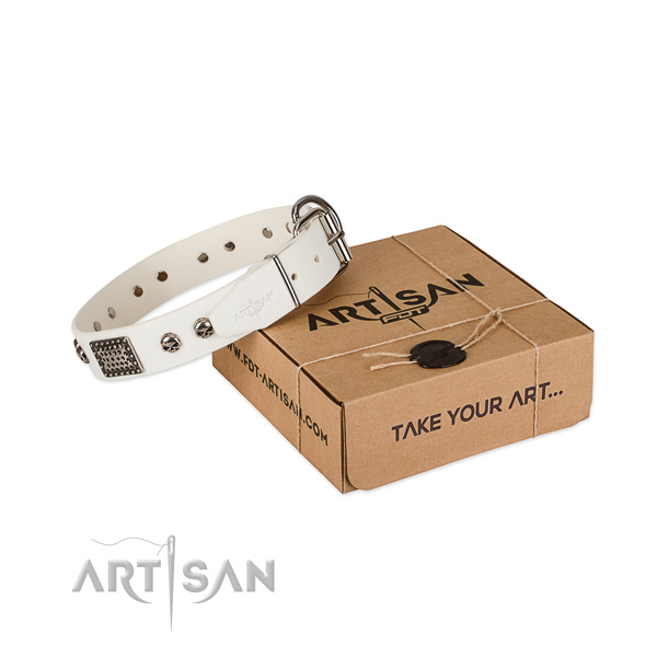 Rust resistant traditional buckle on dog collar for stylish walking