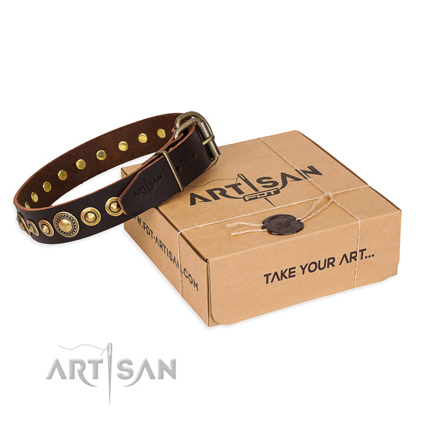 Strong leather dog collar created for walking