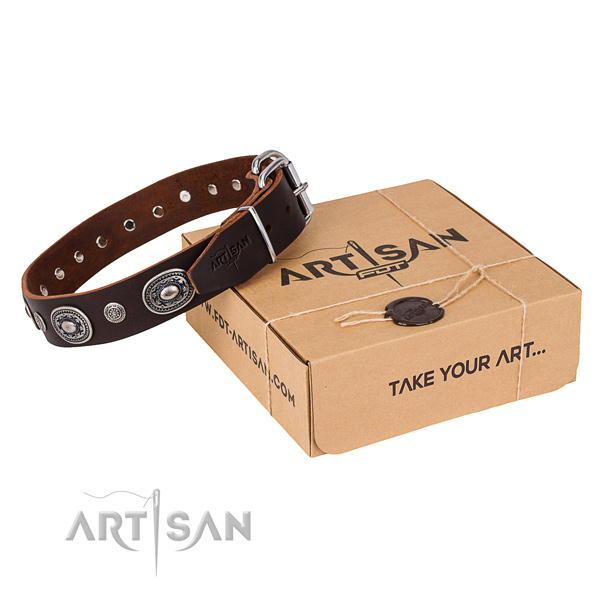 Best quality full grain leather dog collar handcrafted for daily walking