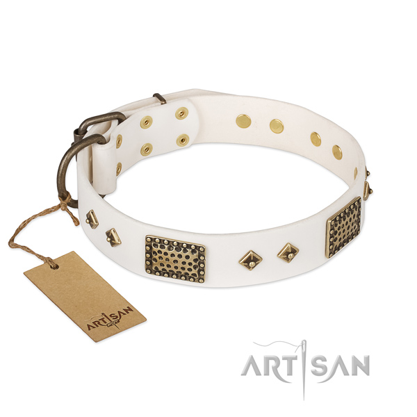 Trendy genuine leather dog collar for daily walking