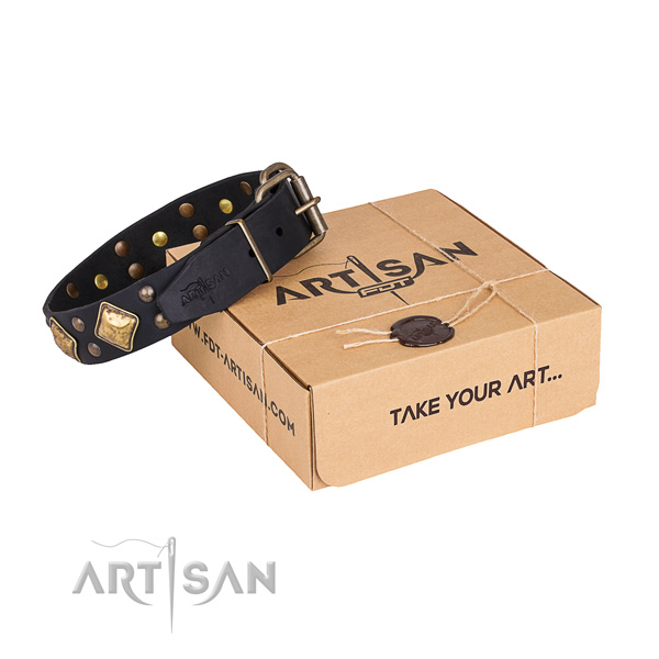 Basic training dog collar with Stunning corrosion resistant adornments