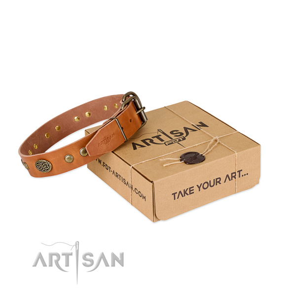 Durable buckle on leather dog collar for your canine
