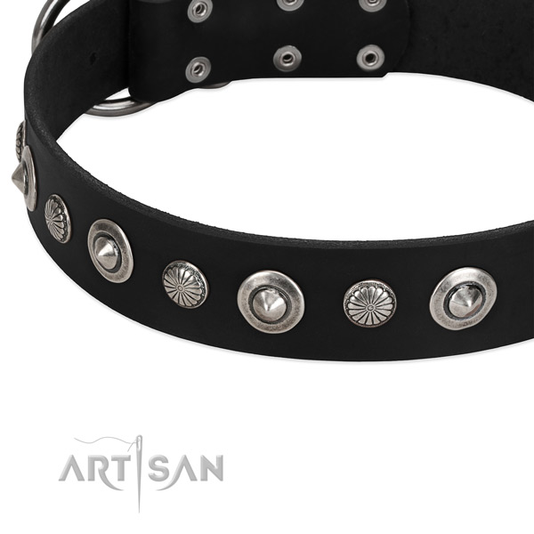 Unusual studded dog collar of best quality natural leather
