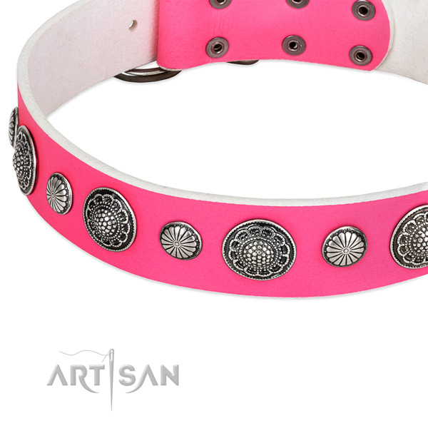 Leather collar with durable hardware for your lovely canine