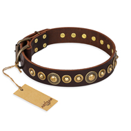 "Ancient Warrior" FDT Artisan Fancy Leather Dogue de Bordeaux Collar with Old-Bronze Plated Decorations