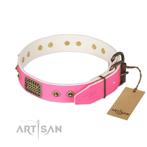 Strong buckle on comfy wearing dog collar