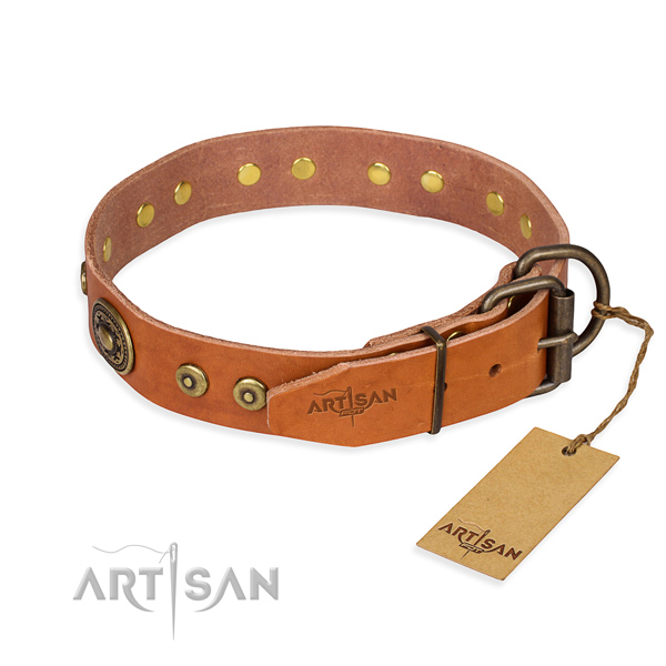 Natural genuine leather dog collar made of flexible material with strong embellishments