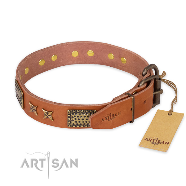 Rust resistant traditional buckle on full grain genuine leather collar for your impressive dog