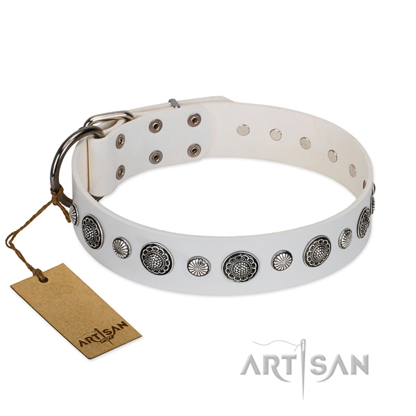 Reliable Full grain natural leather dog collar with rust resistant fittings