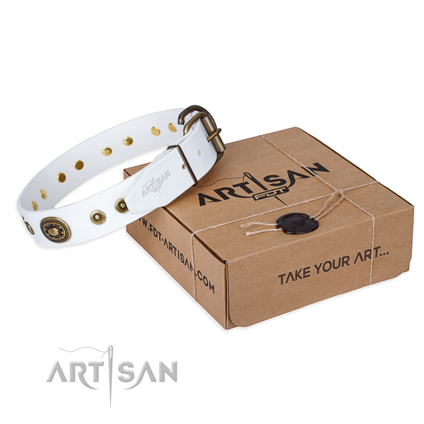 Full grain leather dog collar made of quality material with strong buckle