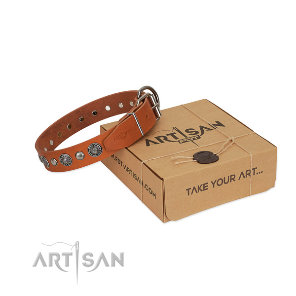 Full grain leather collar with corrosion proof fittings for your impressive four-legged friend