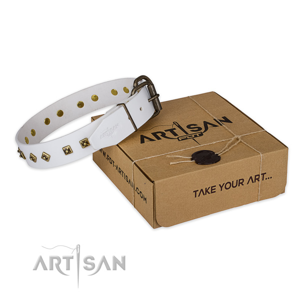 Corrosion proof buckle on leather dog collar for everyday use