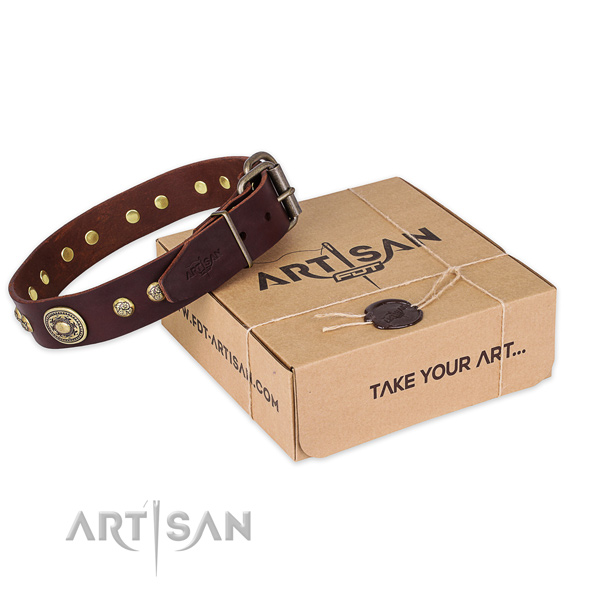 Rust-proof traditional buckle on genuine leather dog collar for basic training