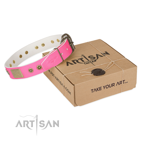 Corrosion proof studs on dog collar for everyday use