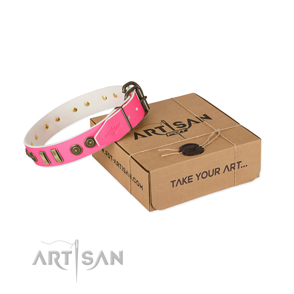 Rust-proof adornments on natural leather dog collar for your doggie