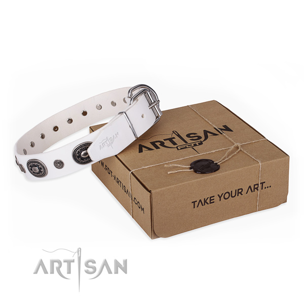 Quality leather dog collar crafted for handy use