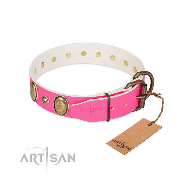 Daily walking top rate natural genuine leather dog collar