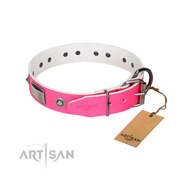 Inimitable dog collar of natural leather with studs