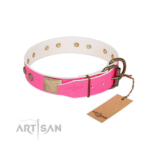 Durable traditional buckle on comfortable wearing dog collar