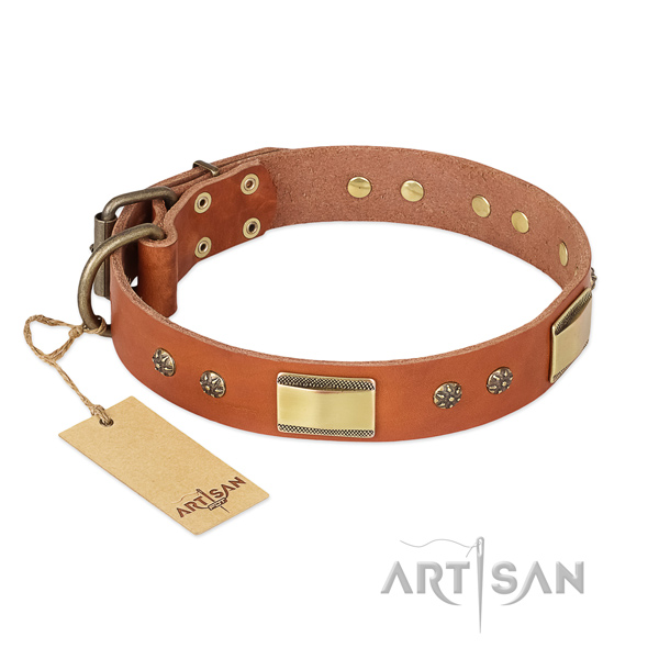 Stylish natural genuine leather collar for your dog