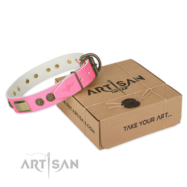 Durable studs on dog collar for everyday walking