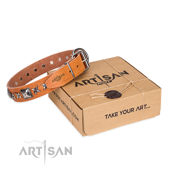 Comfortable wearing full grain leather dog collar with embellishments