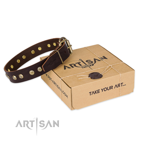 Durable hardware on natural genuine leather collar for your stylish four-legged friend