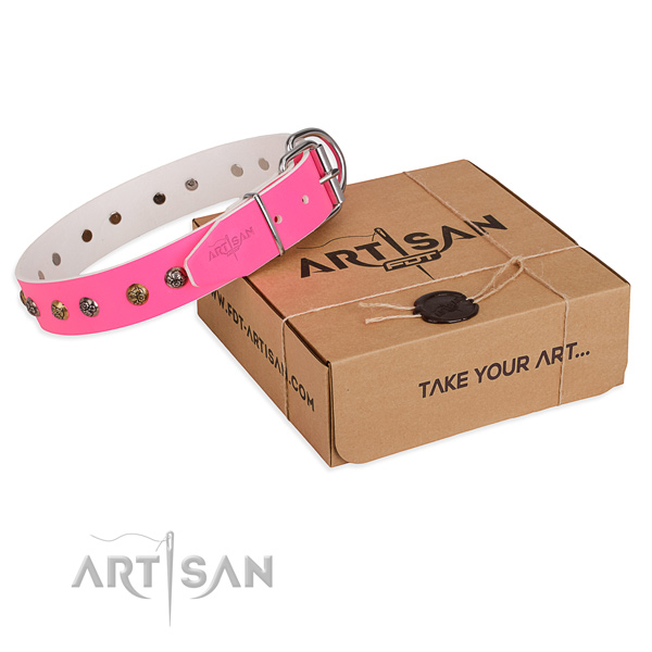 Daily use dog collar with Extraordinary strong adornments