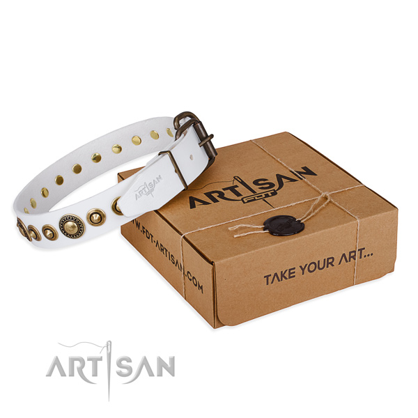 Soft to touch genuine leather dog collar made for everyday use
