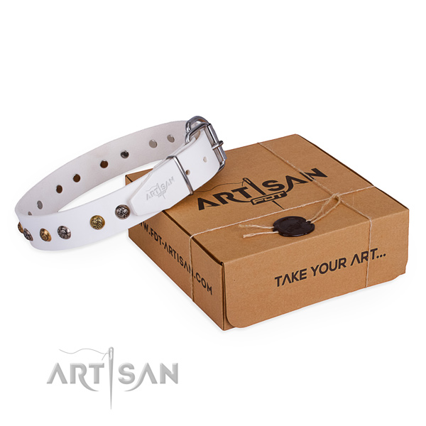 Handy use dog collar with Stylish design corrosion resistant adornments