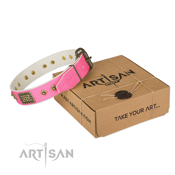 Durable traditional buckle on dog collar for stylish walking