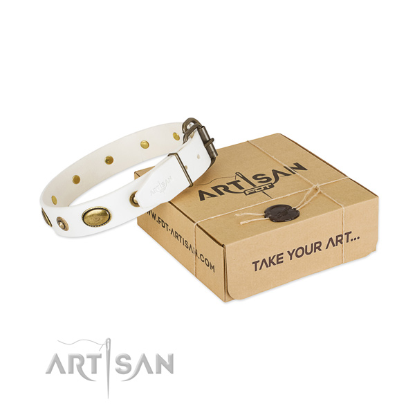 Adjustable full grain genuine leather collar for your lovely canine