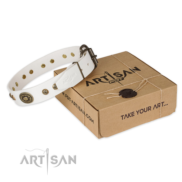 Strong D-ring on full grain natural leather dog collar for everyday walking