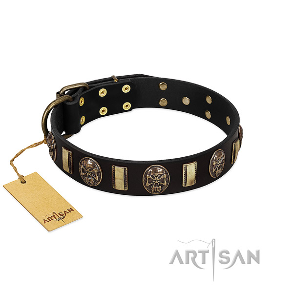 Amazing leather dog collar for walking