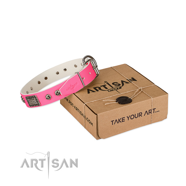 Rust resistant buckle on dog collar for easy wearing