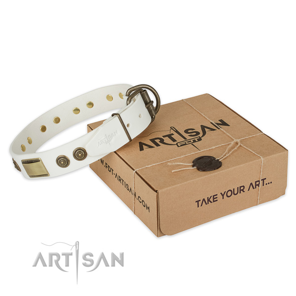 Corrosion resistant traditional buckle on genuine leather dog collar for walking