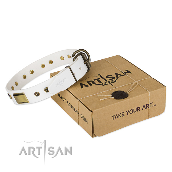 Adjustable full grain leather collar for your lovely dog