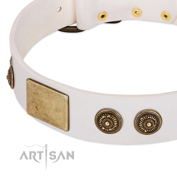 Stylish dog collar made for your handsome pet
